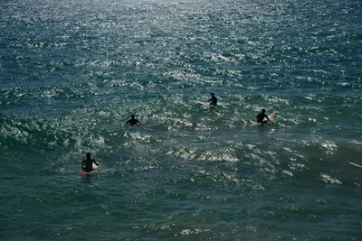 DSC_0367 (Large).JPG